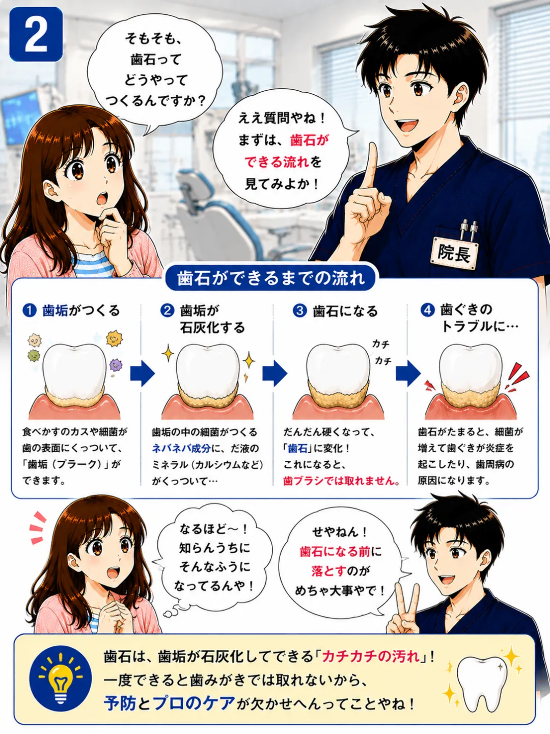 歯垢が唾液中のミネラルによって石灰化し硬い歯石になる仕組みを解説