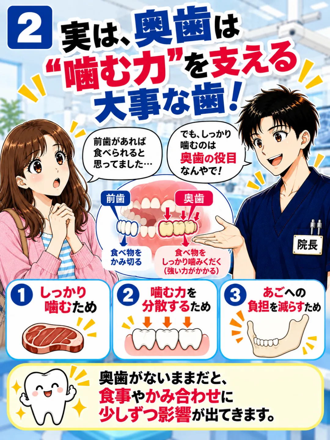 奥歯にはしっかり噛み食べ物をすりつぶし噛む力を分散する役割があると説明する歯科医師